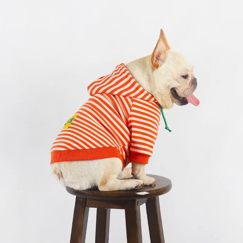 Orange cotton hooded sweater for dogs showing Japanese style design with multiple sizing options