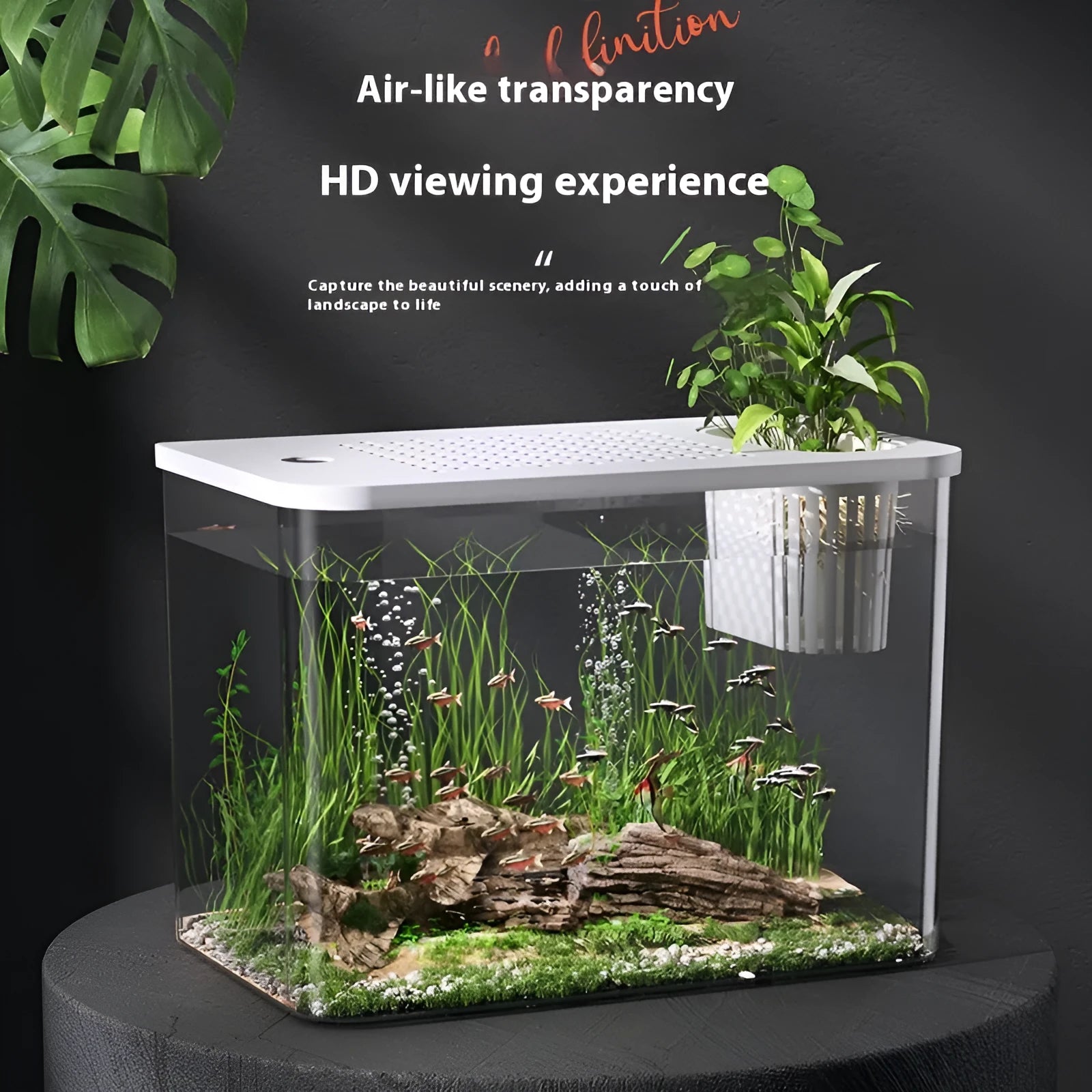 Compact black ecological Betta fish tank with integrated filtration and a fitted plastic cover on a wooden surface.