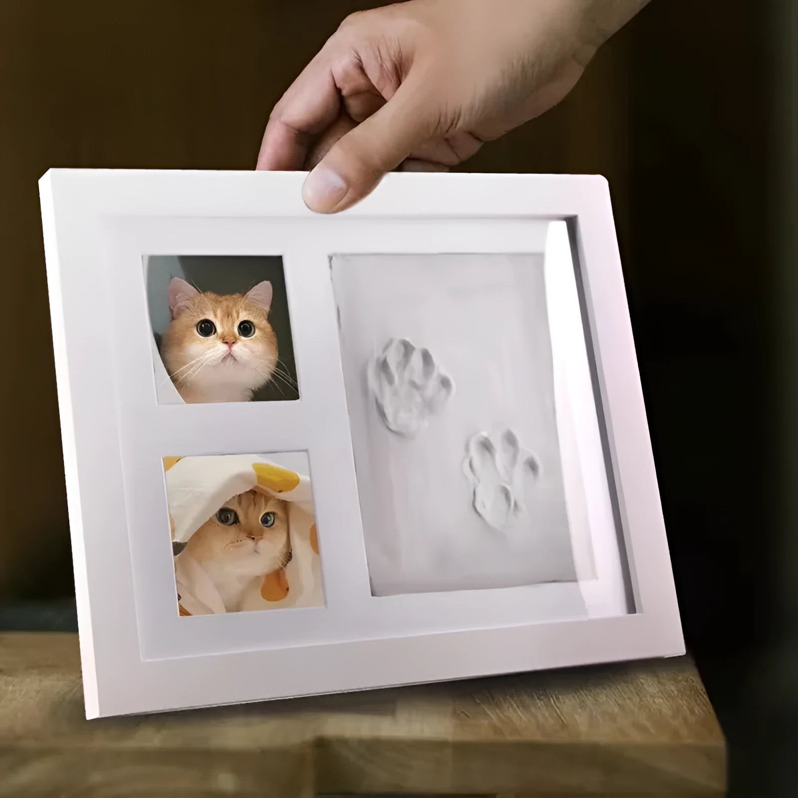 Pet paw print DIY kit with modelling clay and commemorative photo frame for cats and dogs