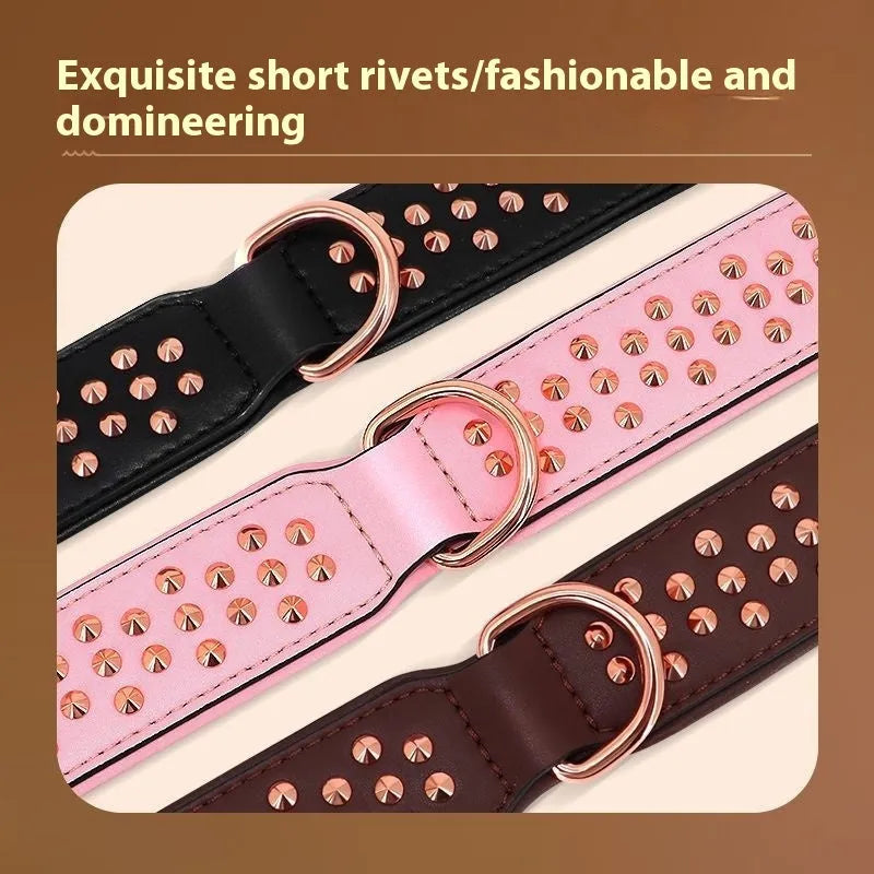 A brown leather dog collar with a row of shiny brass anti-bite rivets and a metal D-ring.