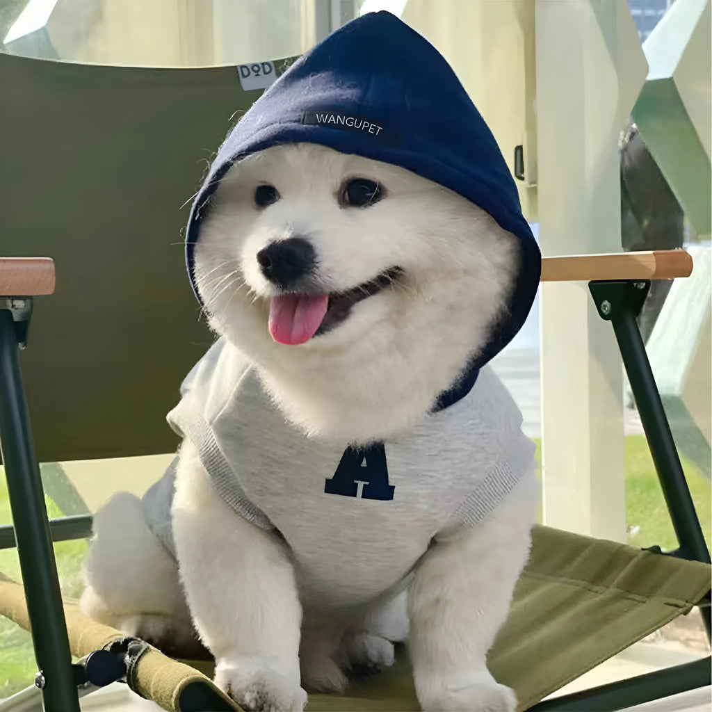 Blue and white reflective letter pet hoodie for cats and dogs in slim-fitting polyester