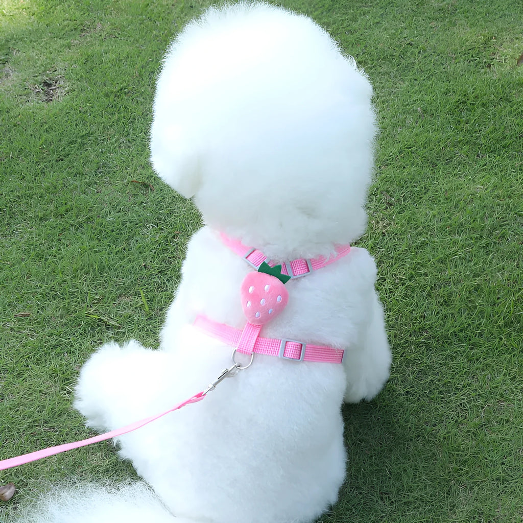 Reflective chest strap vest-style dog walking lead with handle rope for small dogs.