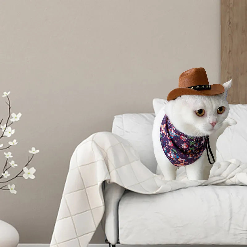 A black pet cowboy hat with a star decoration, shown with adjustable straps, sized for a cat or dog.
