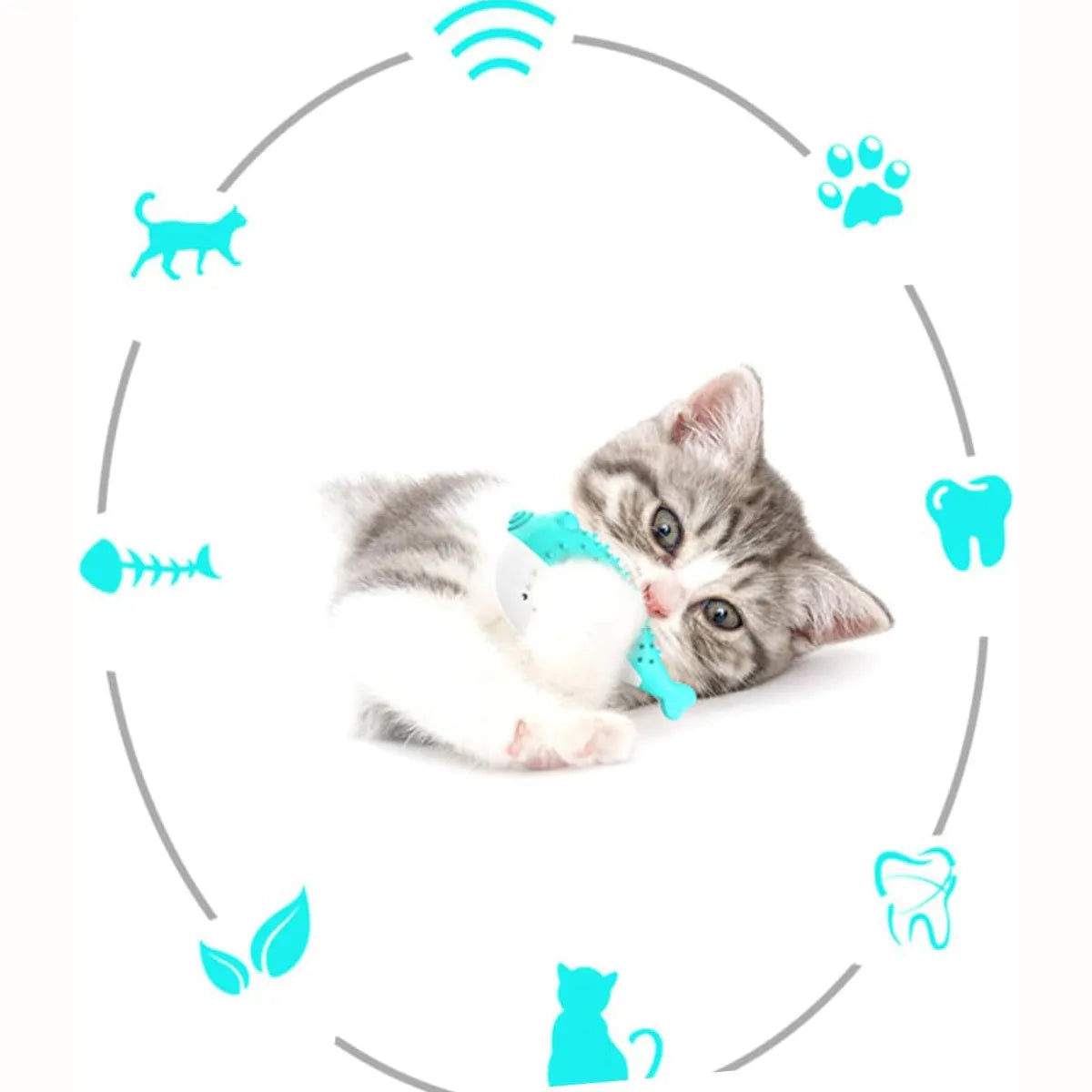 Silicone cat chew toy fish design with toothbrush cleaning function in blue, green, pink, or yellow colour