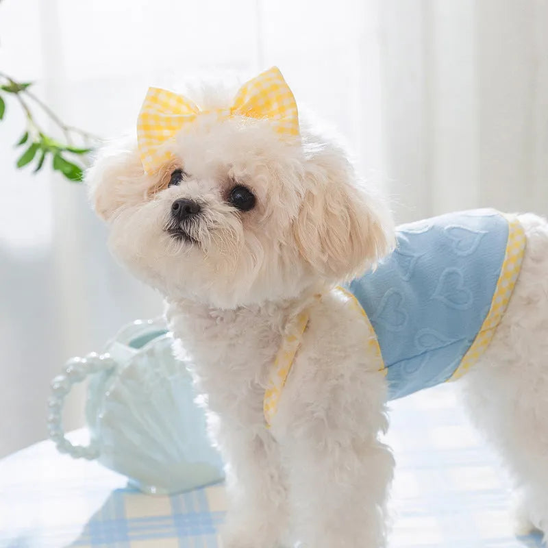 Small dog wearing a blue elastic vest with heart texture and bow suspenders.