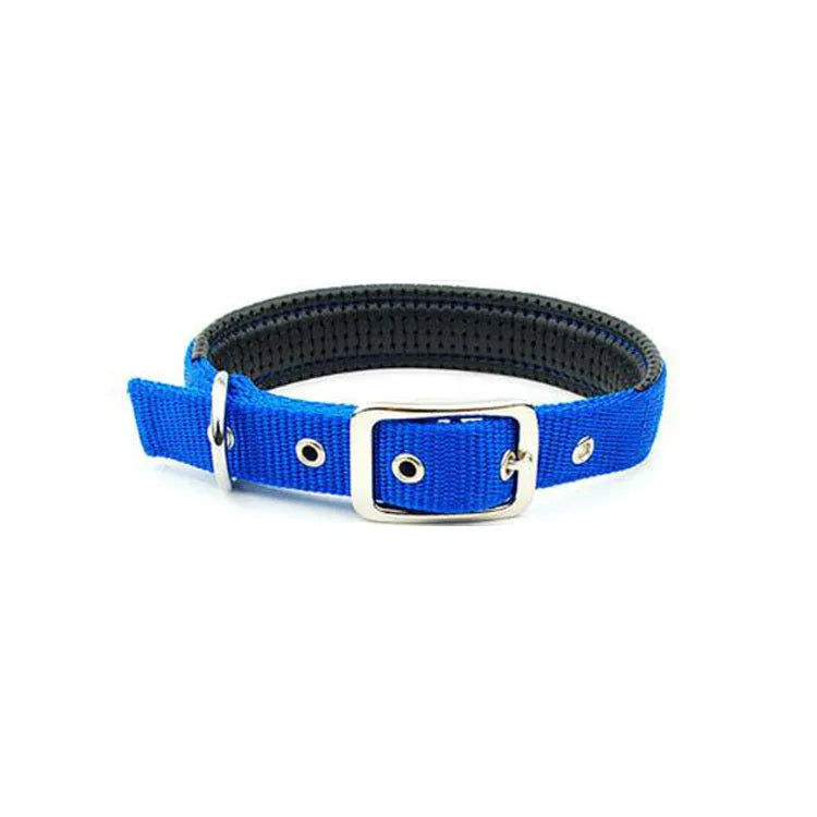 Reflective nylon webbing dog collar with belt buckle on a dog, black colour, size large