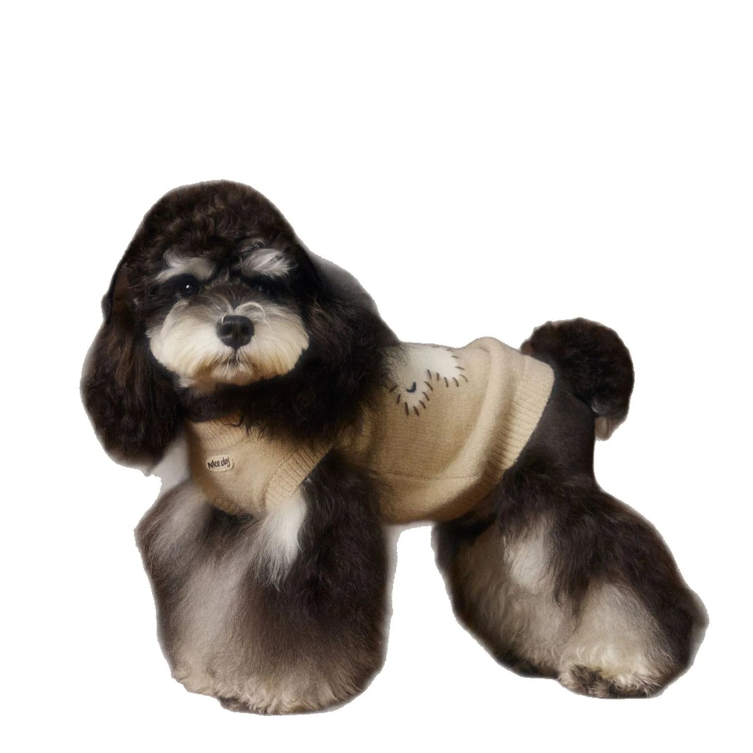 Wool sleeveless dog sweater vest in beige with ear cutouts for small breeds on a white background