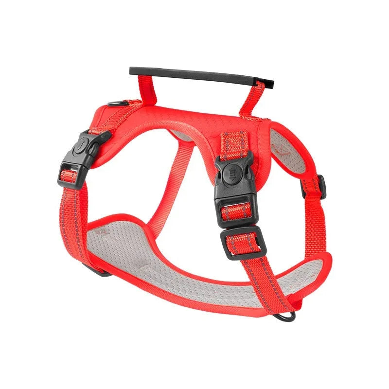 A coloured polyester dog chest harness with an attached leash, shown in size options XS to XL.