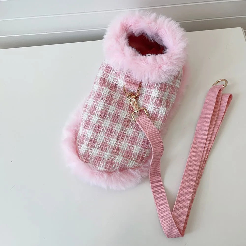 Cat wearing pink polyester cloak costume with beret and hand-holding rope
