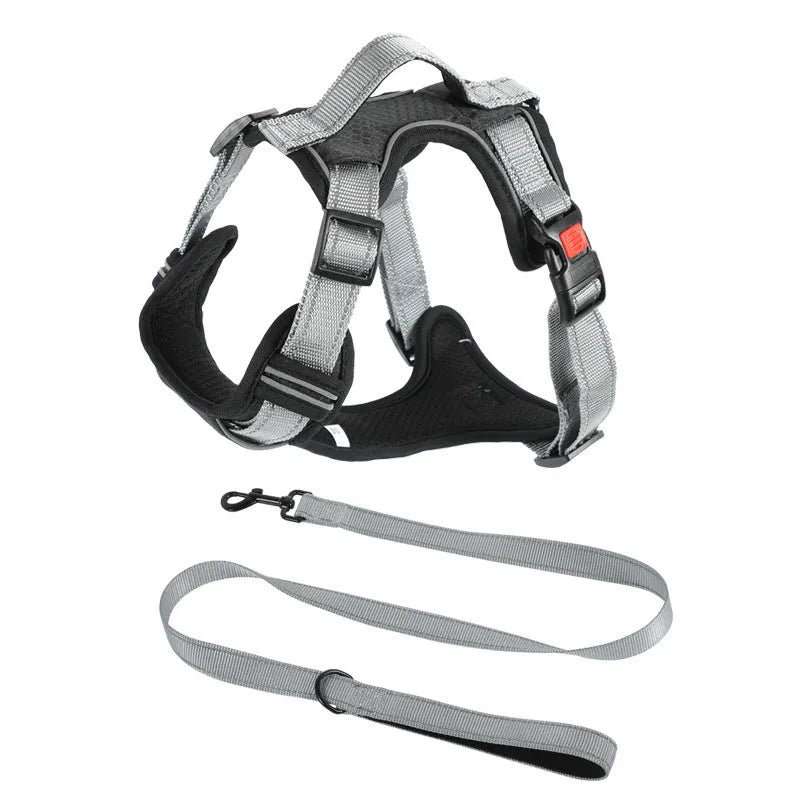 Orange polyester dog chest strap vest harness with an adjustable strap and a matching hand holding rope.