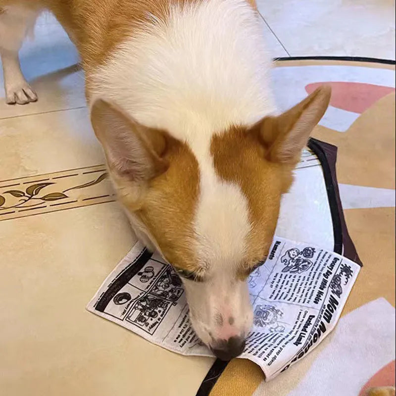 Tearproof pet dog squeaky toy simulating newspaper playing card design for Corgi puppy interactive chewing