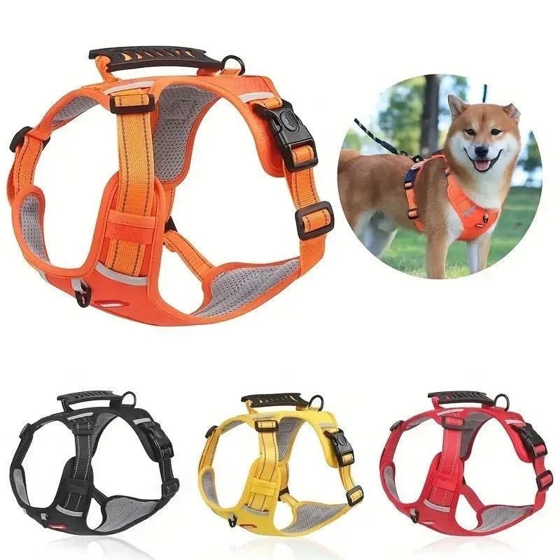 A coloured polyester dog chest harness with an attached leash, shown in size options XS to XL.
