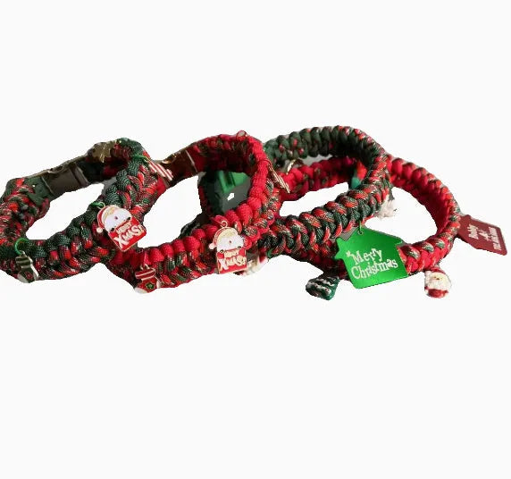Green rope dog leash with a P chain section and a metal release buckle, held in a hand.