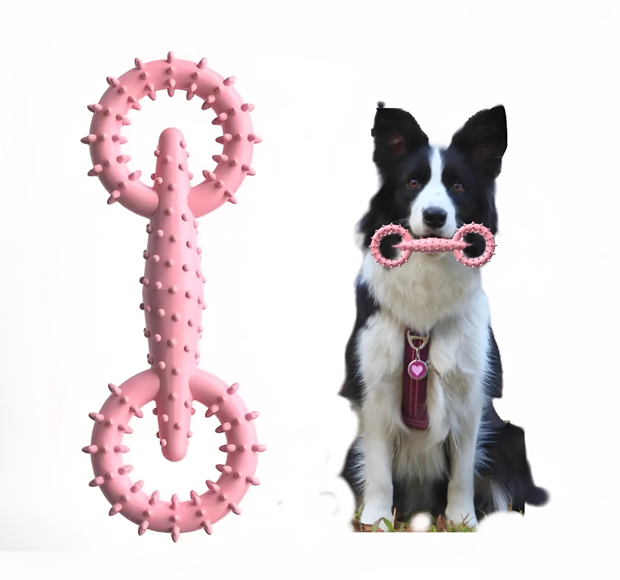 Blue TPR ring-shaped dog chew toy for puppy teething on a white background.