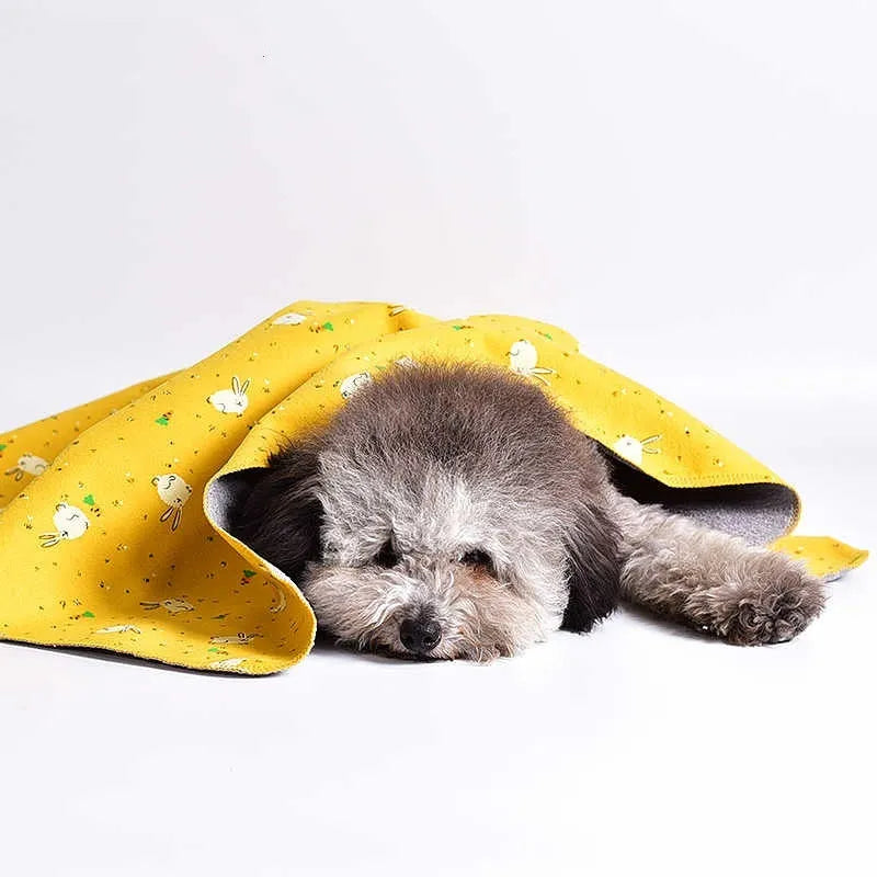 Double-sided cotton velvet pet blanket showing dinosaur and cartoon bear print options in various sizes.