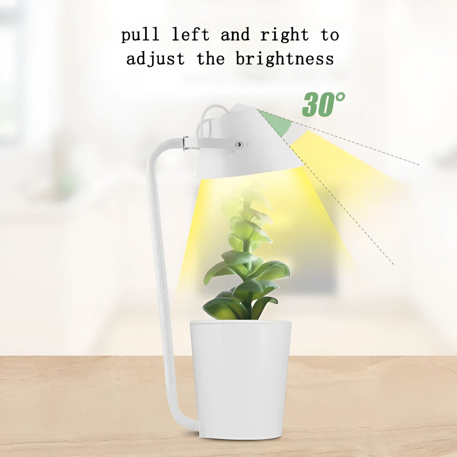 A white plastic hydroponic container for desktop soilless plant cultivation.