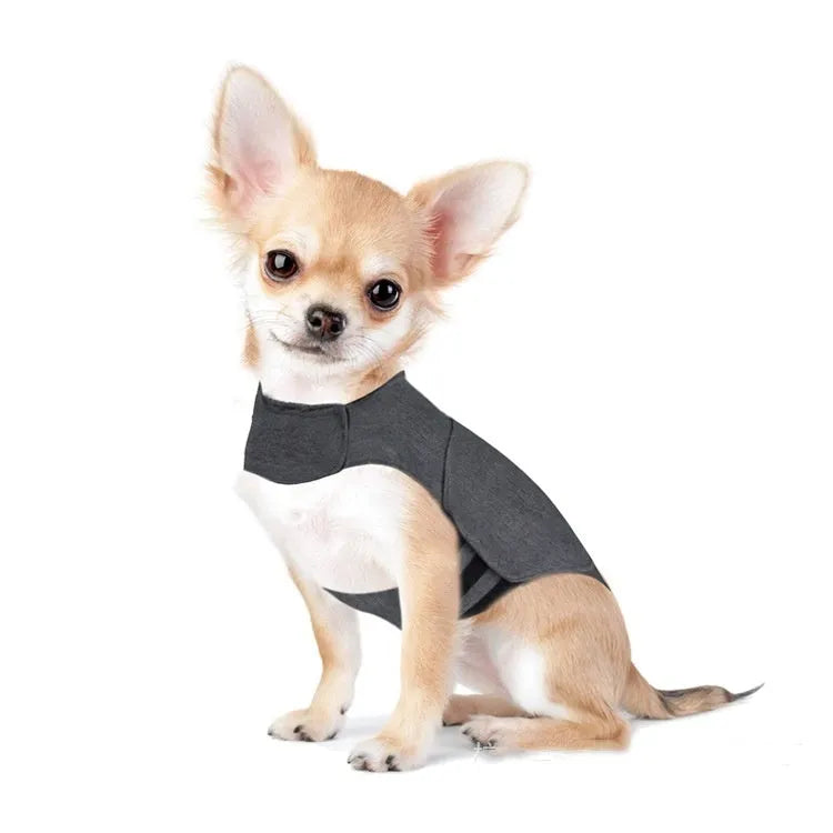 Heather grey dog anxiety vest made from brocade cotton fabric on a dog, showing its snug fit.