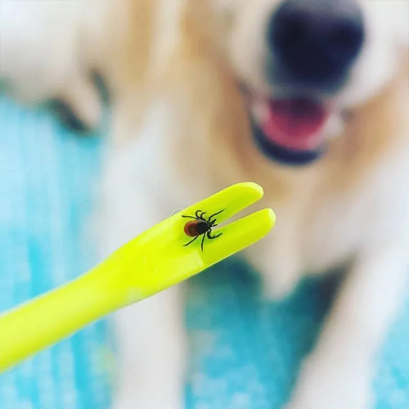 Three plastic pet tick removal clips in blue or green colours for dog and cat grooming