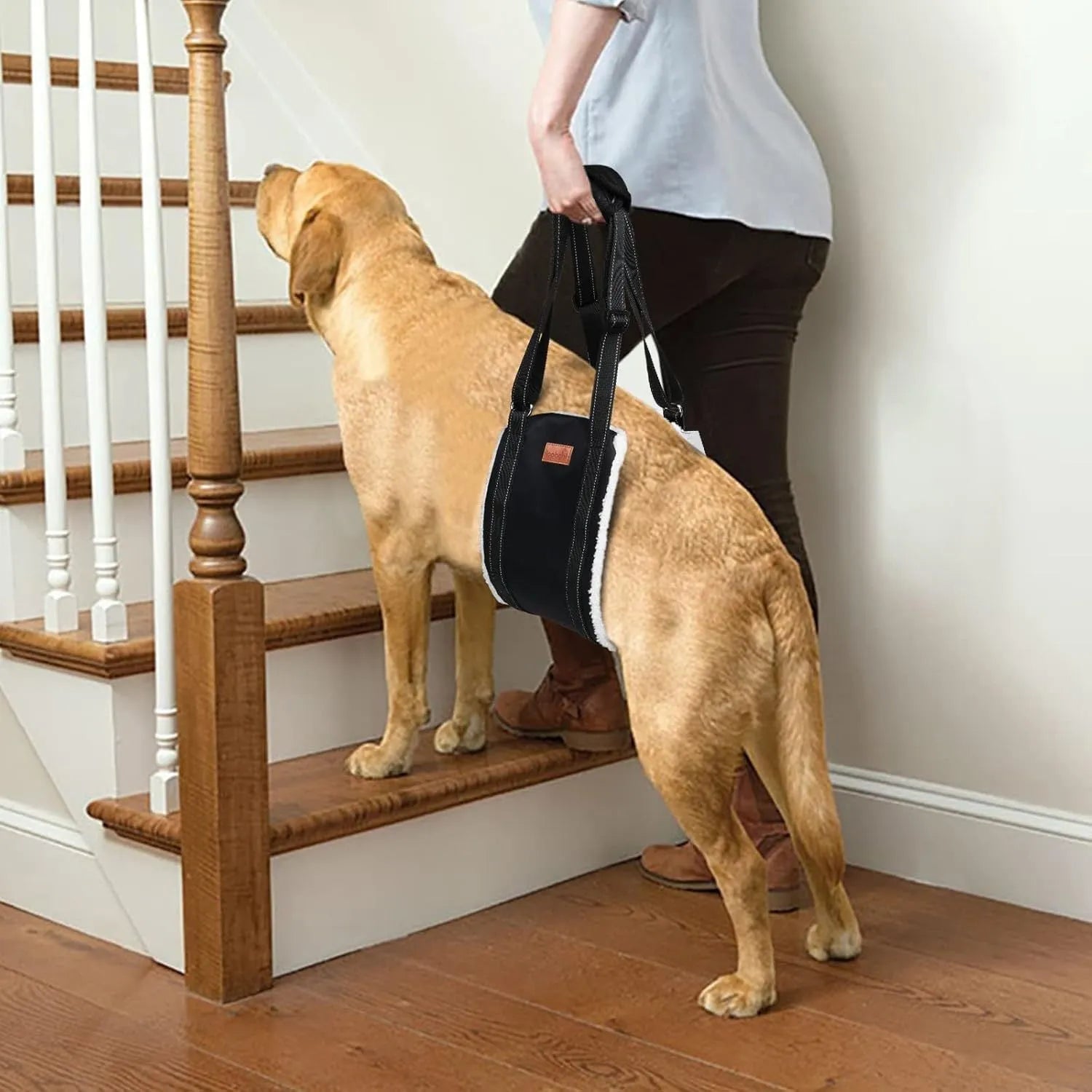 Portable dog sling supporting hind legs and buttocks with adjustable reflective straps and padded handle
