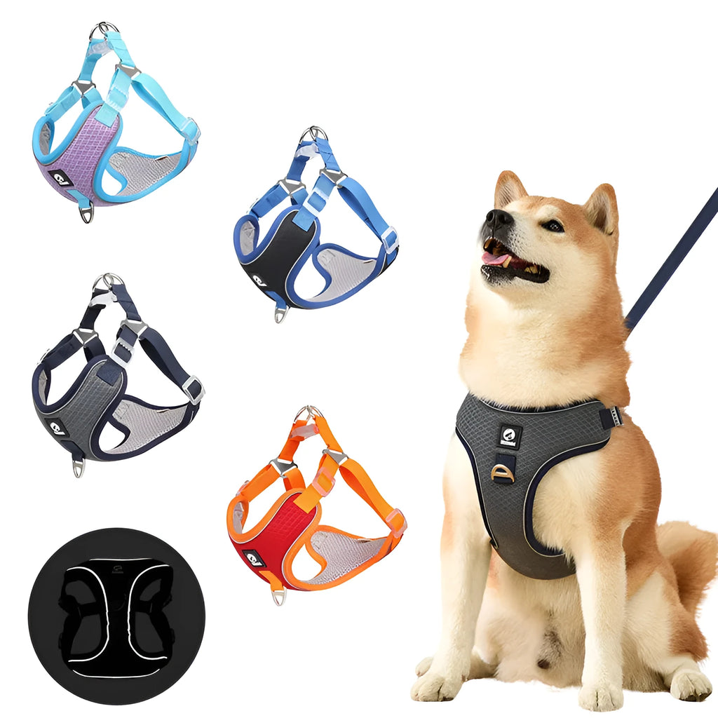 Adjustable mesh dog harness with reflective piping in black colour on small dog