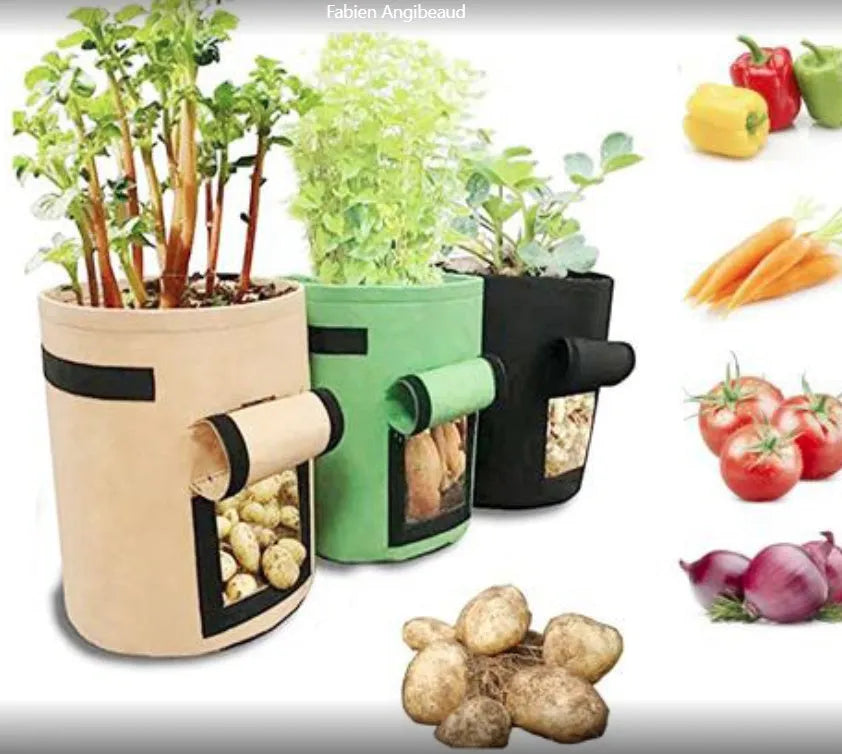 Non-woven breathable potato plant growth bag with side window and double handles in black colour