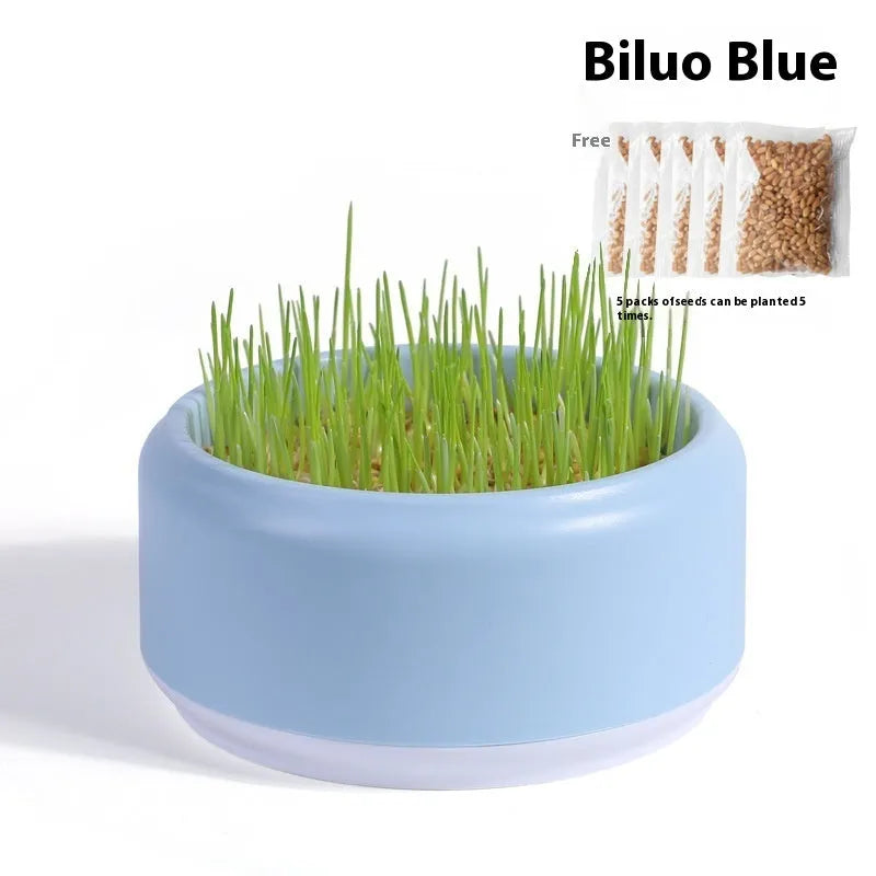 Hydroponic cat grass kit with cup and five seed packs in blue, green, and yellow colour options