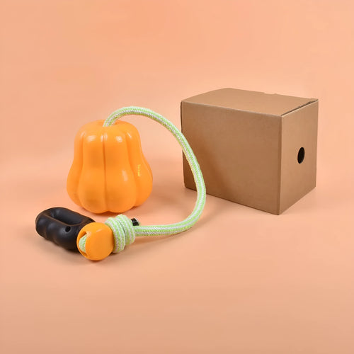 Orange Bite Molar plastic dog toy with rope, shown on grass for outdoor use.