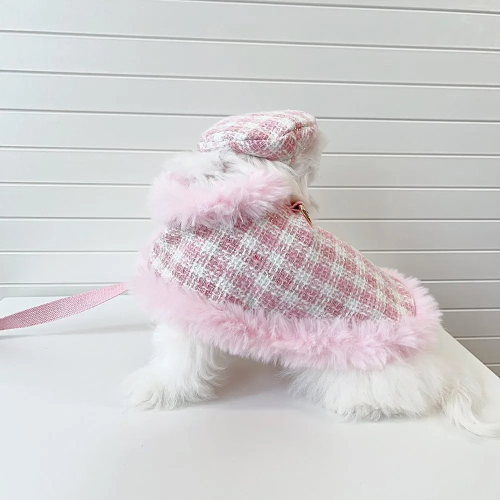 Cat wearing pink polyester cloak costume with beret and hand-holding rope