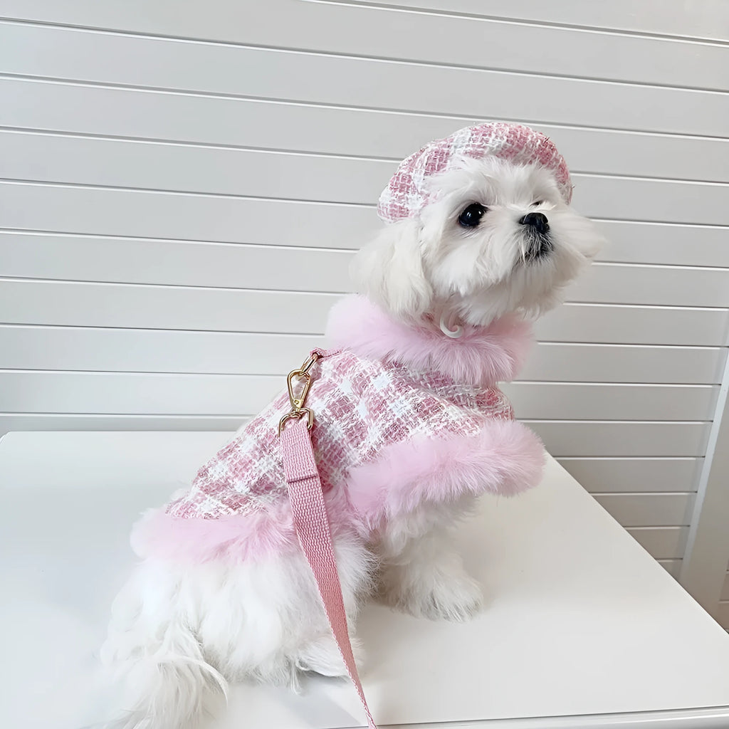 Cat wearing pink polyester cloak costume with beret and hand-holding rope