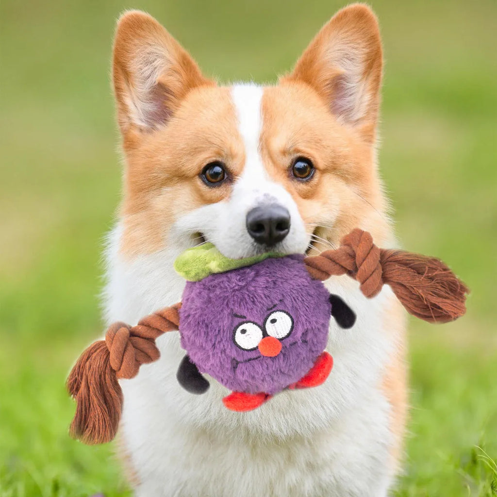 Green and purple interactive plush rope knot dog toy for tug of war and chewing.