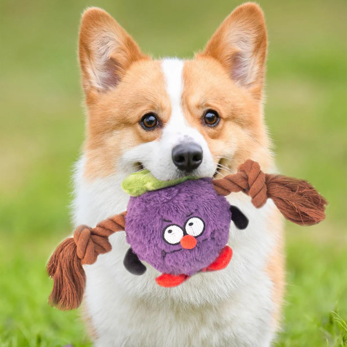 Green and purple interactive plush rope knot dog toy for tug of war and chewing.