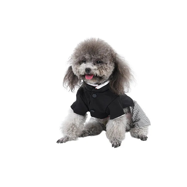 Thin cotton dog clothes shown as a skirt style and four-foot pants style for small breeds like poodles.