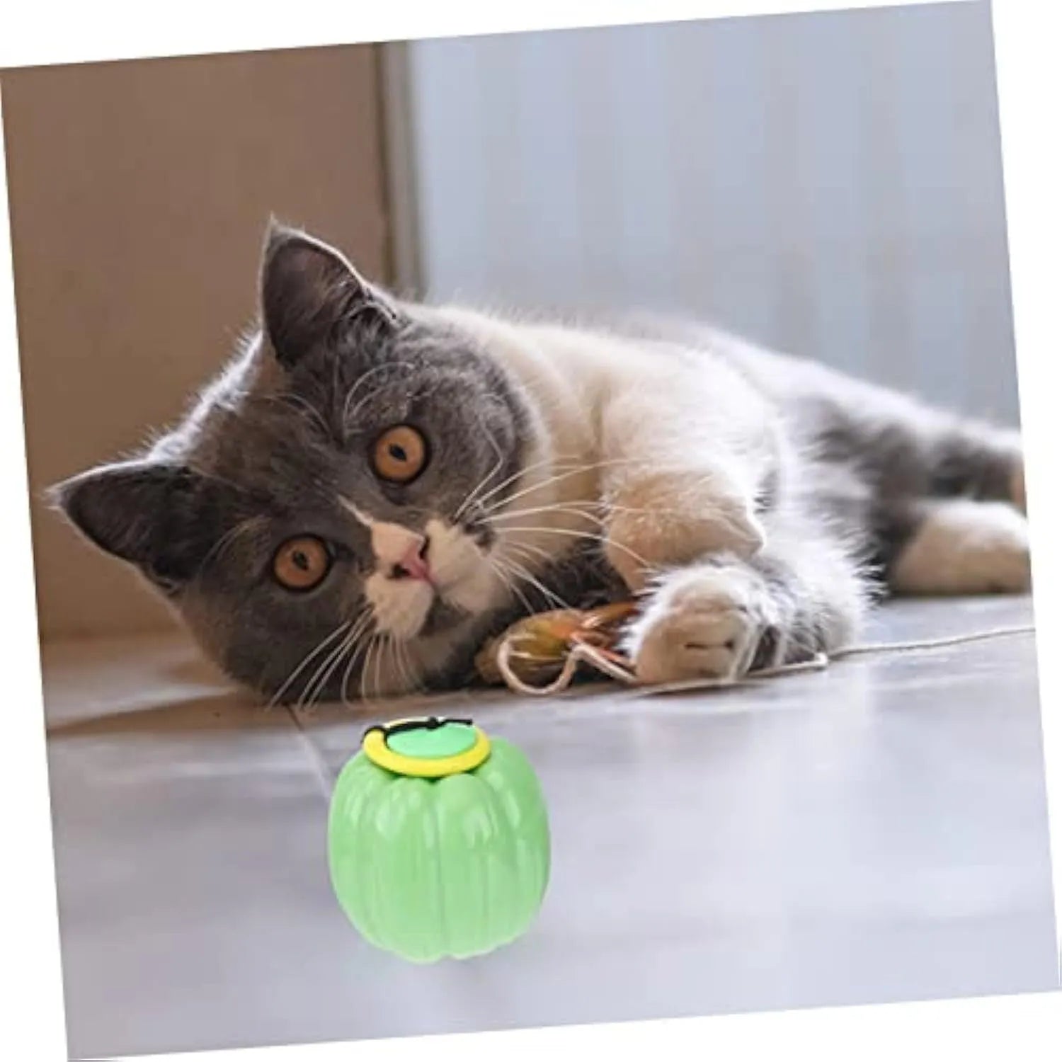Small orange plastic pumpkin dog ball with squeaker for puppy chewing and training