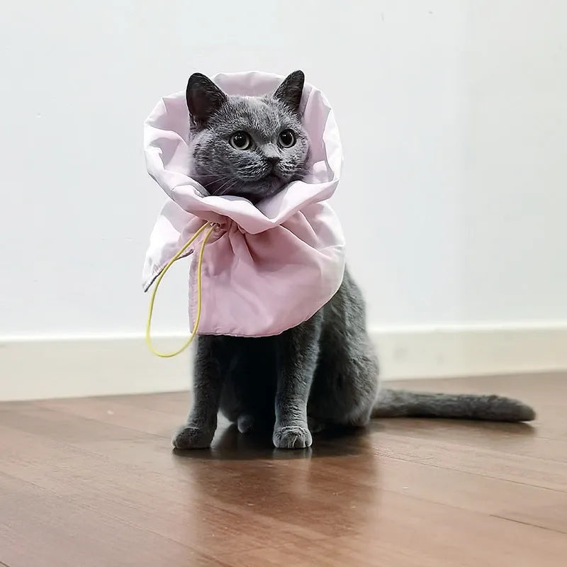 Adjustable soft cat recovery collar in light blue colour showing elastic buckle and polyester construction