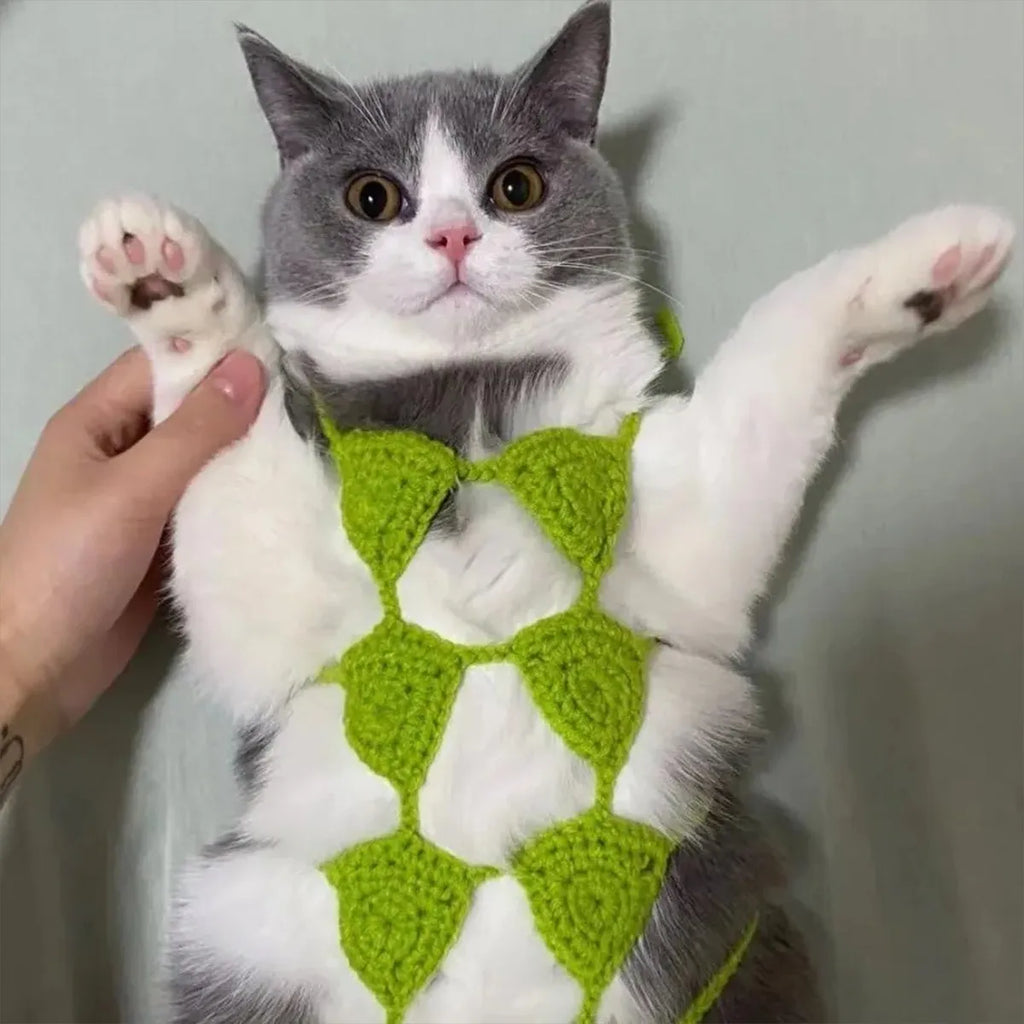 Colour options for sweet style cat bikini costume including black, green, pink, red, and rose red