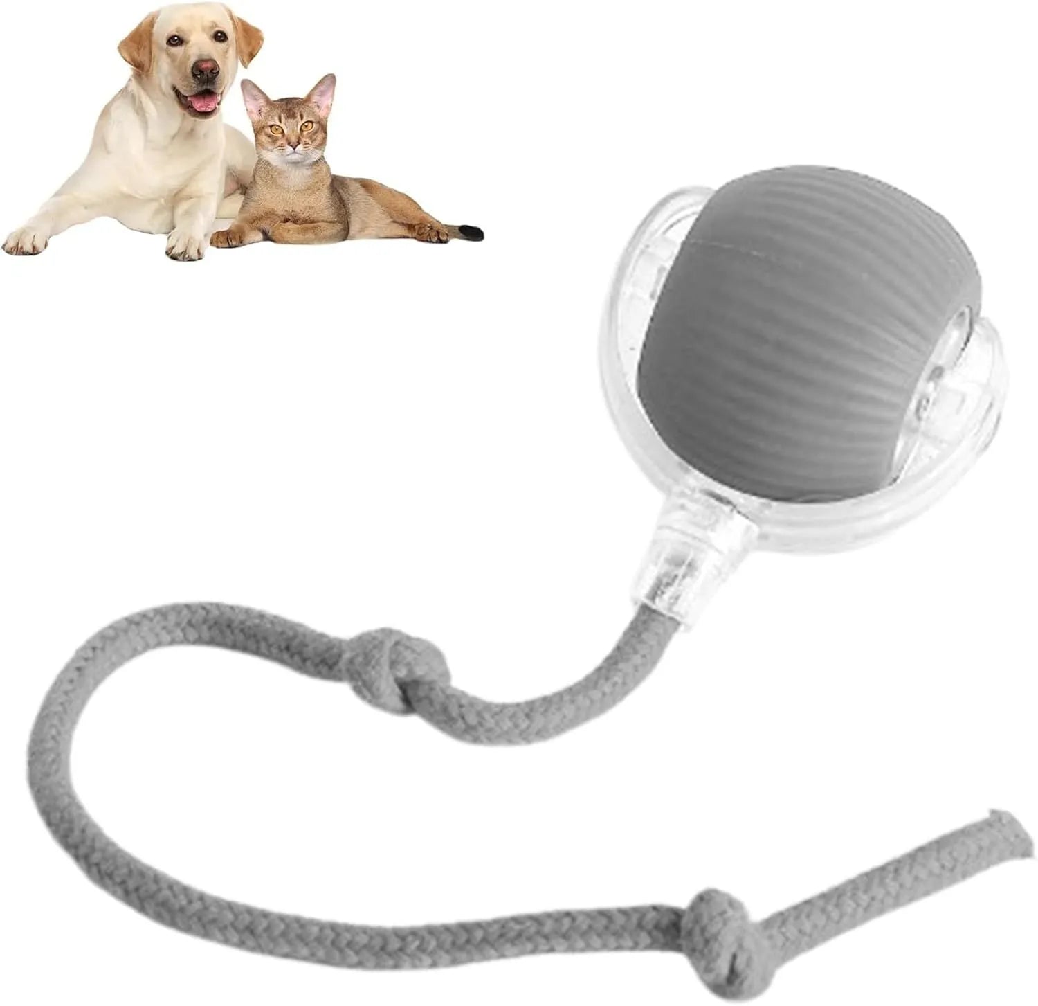 Grey interactive rolling ball pet toy with rope attachment measuring 6.5cm