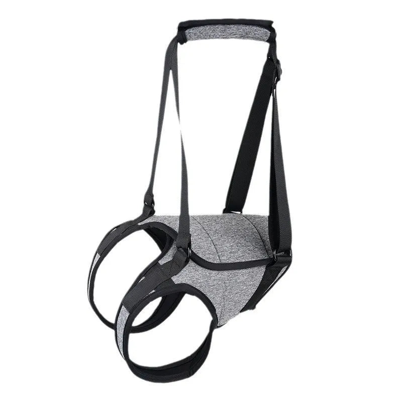 Grey neoprene dog rear leg recovery belt with adjustable waist and thigh straps shown on size chart