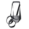Grey neoprene dog rear leg recovery belt with adjustable waist and thigh straps shown on size chart