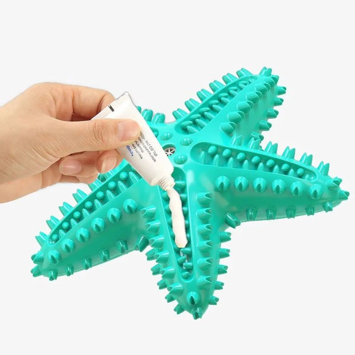 Blue edible TPR starfish dog chew toy with squeaker for dental cleaning
