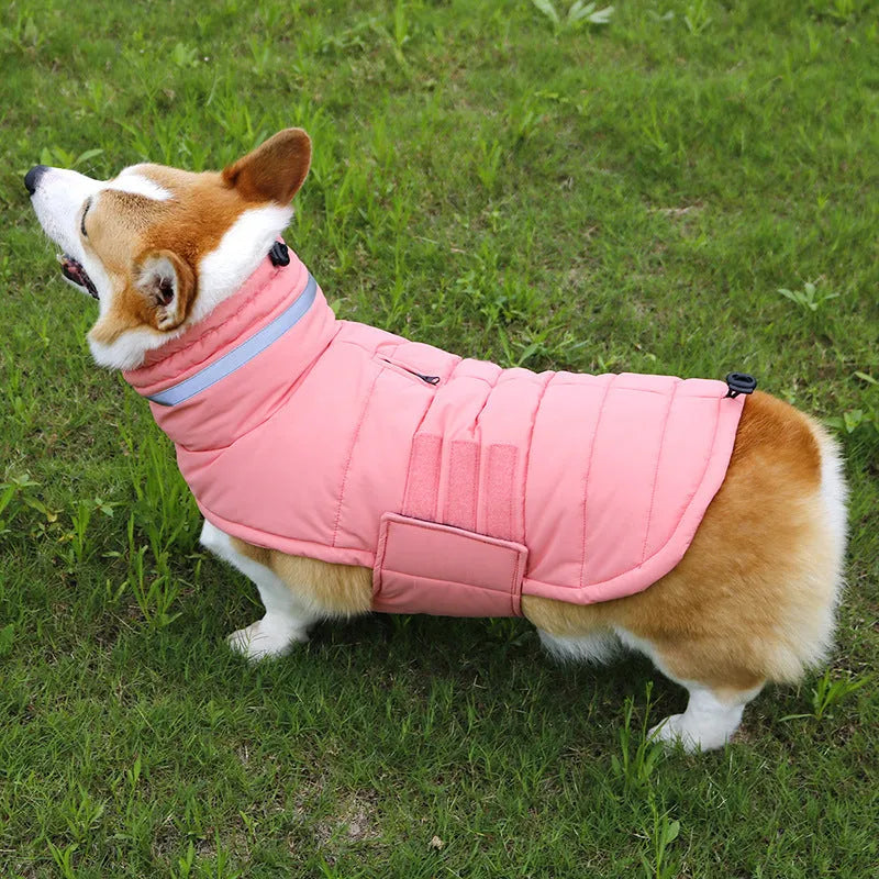 Cold-proof rain-proof pet coat for big dogs in grey trench style outdoor