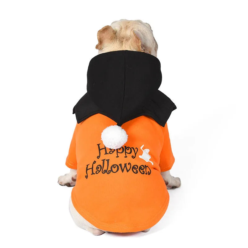 Black and orange Halloween pumpkin dog costume with sweater and shawl on pet