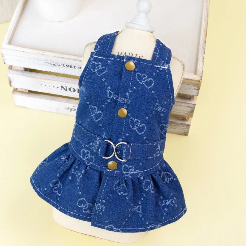 Teddy Bichon wearing thin denim princess dress in bracket-skirt style