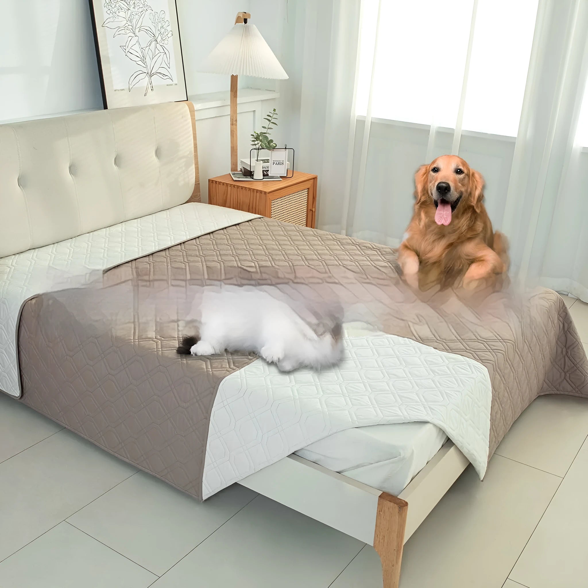 Double-sided waterproof dog sofa cushion with reversible dark gray and khaki colour options