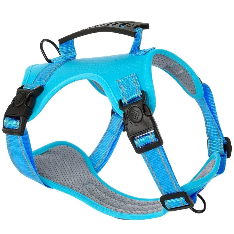 Polyester dog chest harness and rope set in multiple colours and sizes for secure pet control.