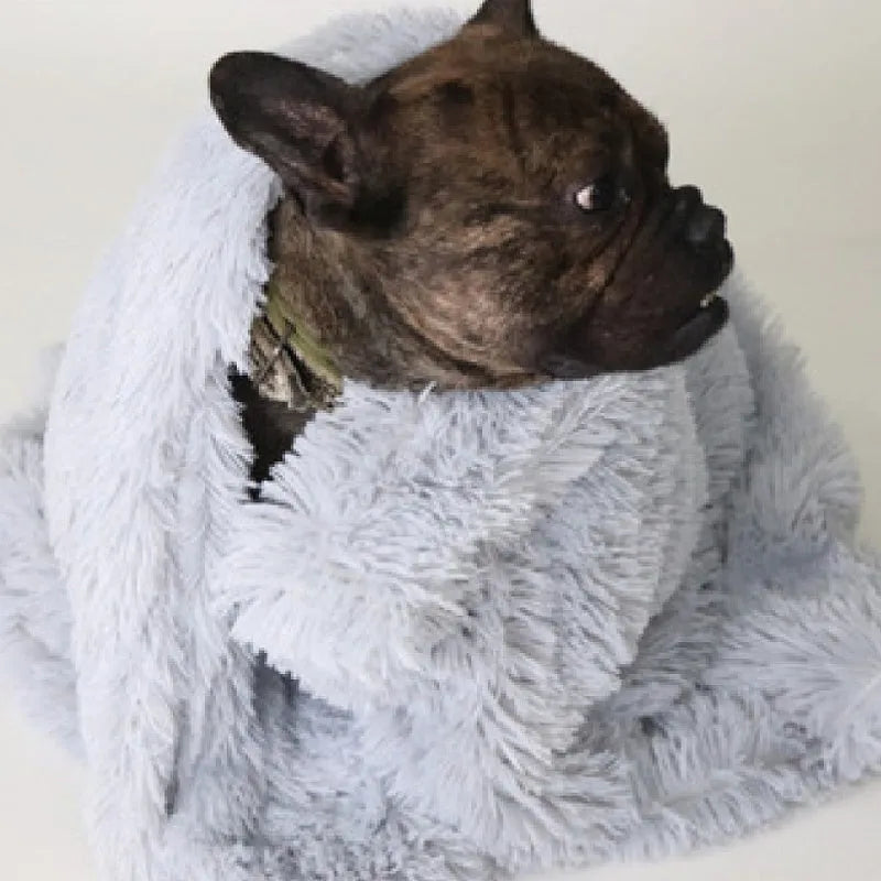 Long plush pet blanket for dogs and cats shown in light grey colour.