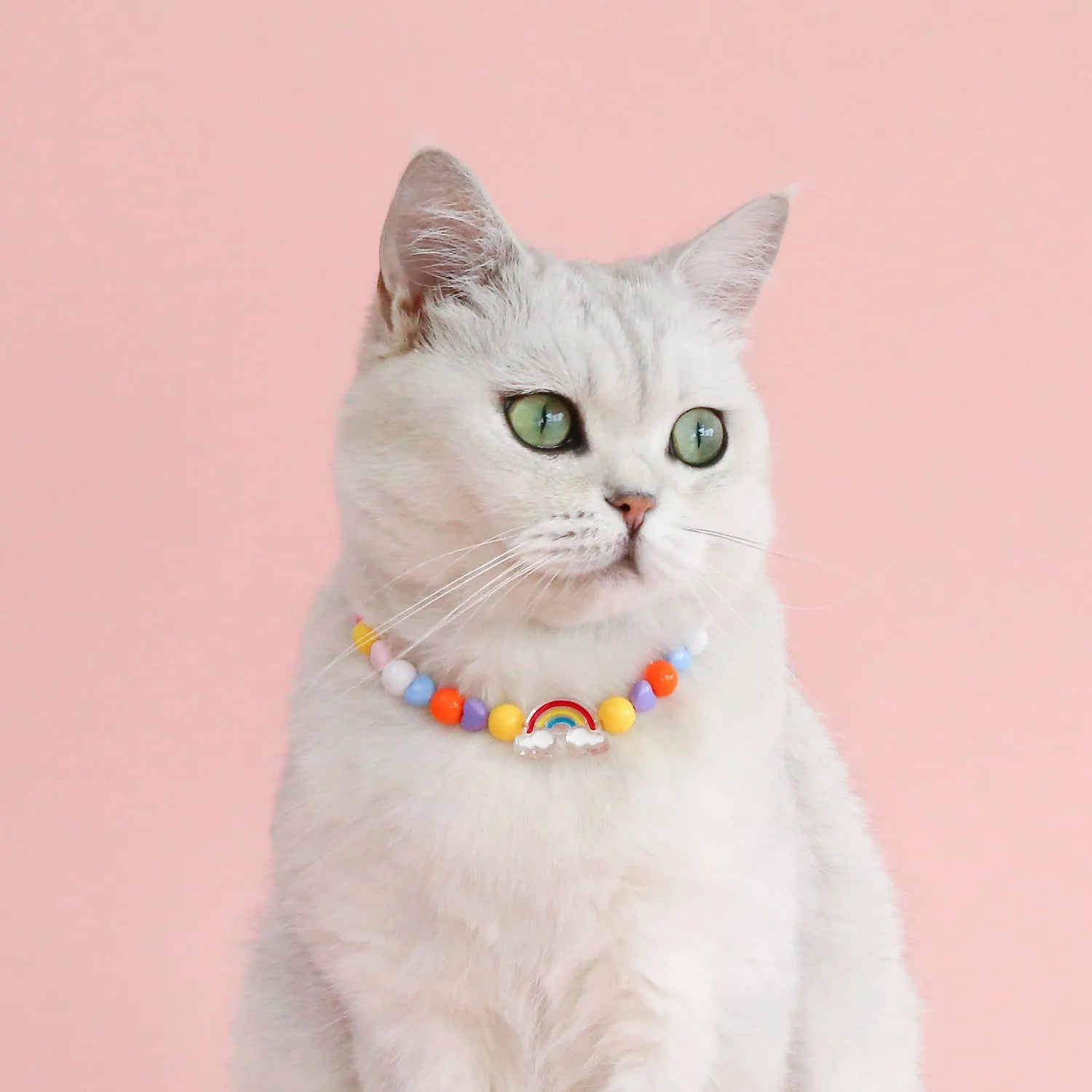 Colourful plastic bead pet necklace in small flower, rainbow, or peach design on an adjustable collar