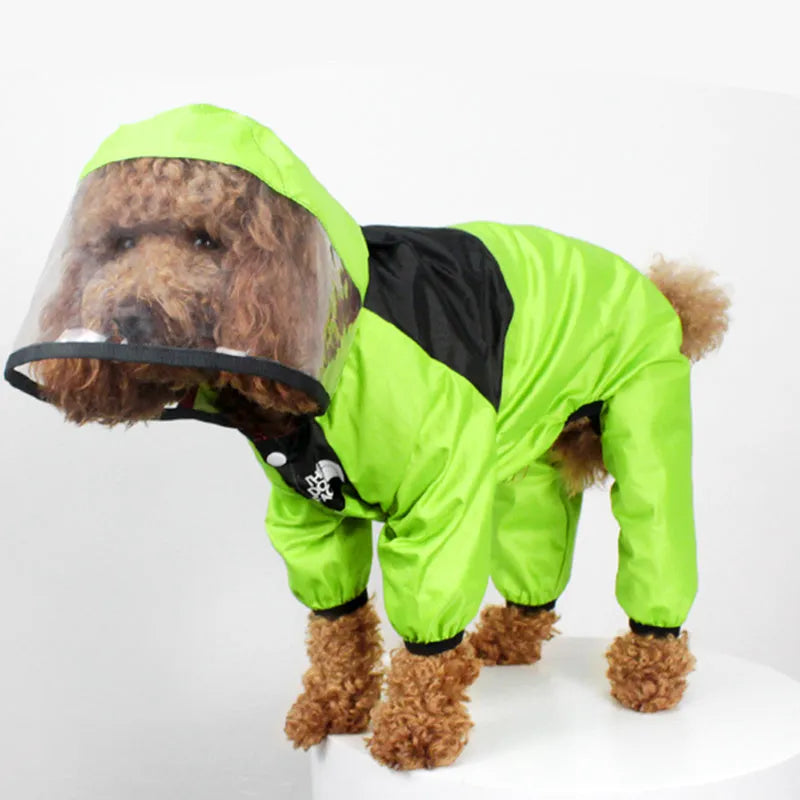 Long-legged dog wearing green rain poncho with transparent brim for rain protection
