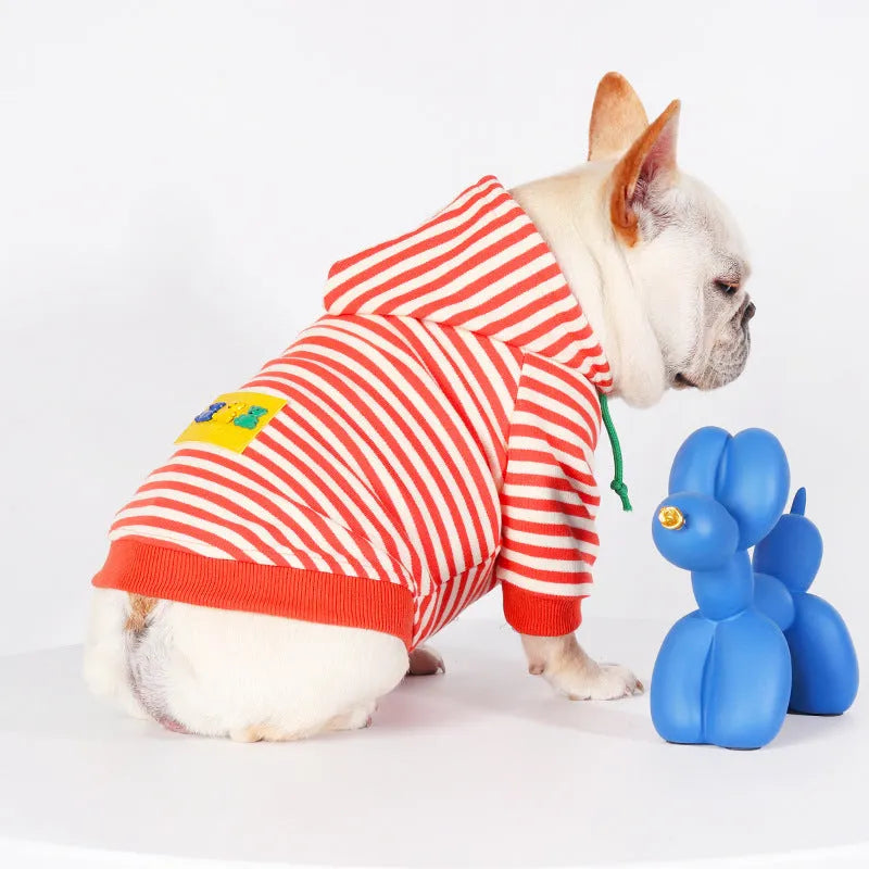 Orange cotton hooded sweater for dogs showing Japanese style design with multiple sizing options