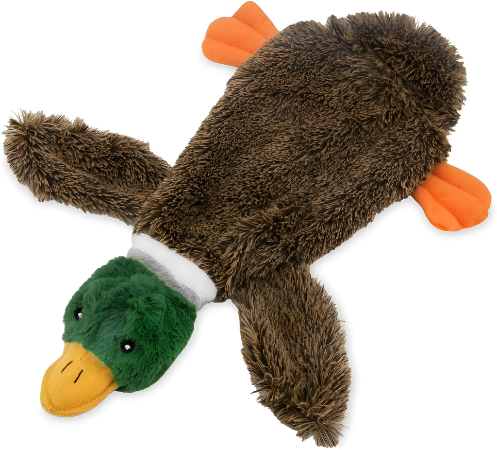 Green stuffless squeaky duck dog toy with bottle cavity for indoor play with dogs