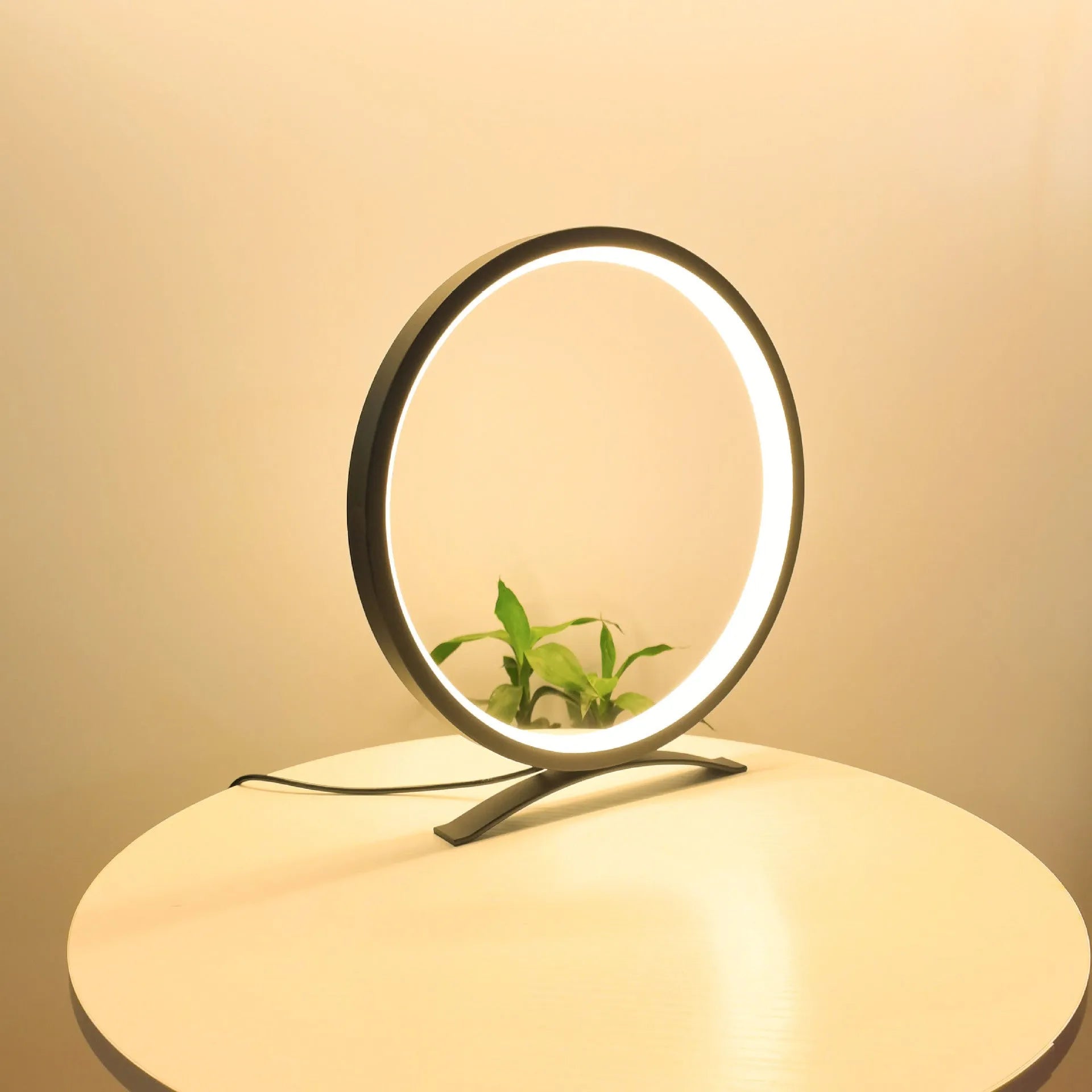 Modern minimalist desk lamp with metal stand, USB cable, and compact 25cm base in black warm light finish